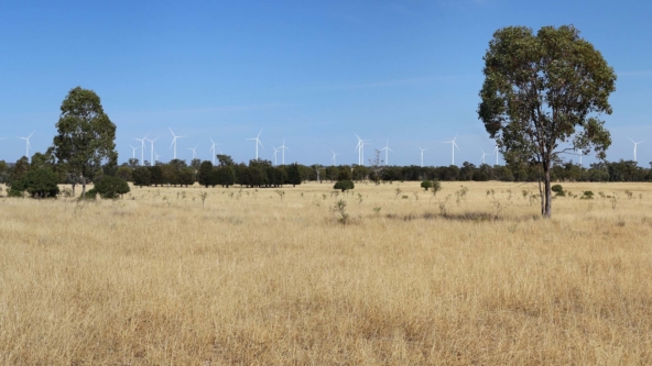 Australian Renewable Energy Market Update – January 2024