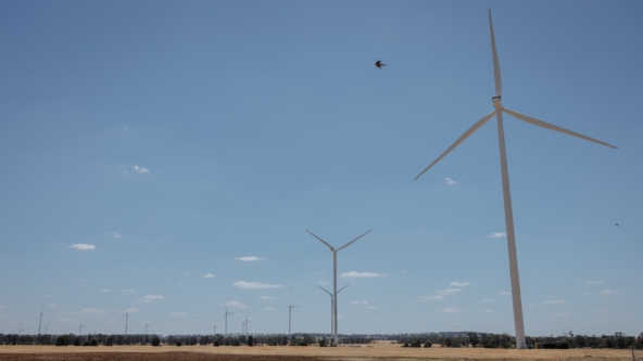 Australian Renewable Energy Market Update – April 2024