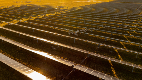 Investing in Australia’s Energy Future